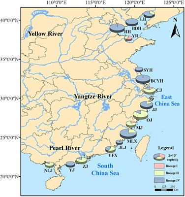 An investigation of Nitrospira bacteria in coastal wetlands of China: distribution pattern and related environmental driving factors